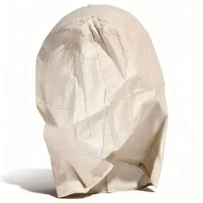 Imagen del producto de Peluca de látex Kryolan, color piel, de gran tamaño
