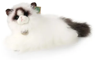 Obrázok produktu pre Plyšová mačka Ragdoll, 38 cm, ekologická