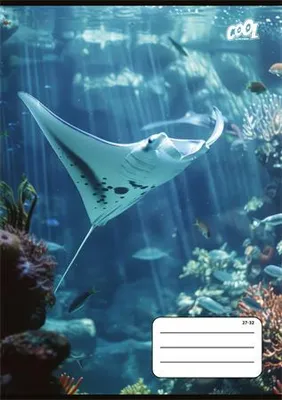 Produktbild von Notizbuch "Ocean World", 27-32, gemischte Motive, A5, quadratisch, 32 Blatt, COOL BY VICTORIA