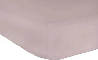 Produktbild von Mr.Sandman Elasthan Classic Topper Spannbetttuch Diestel 160x200-210cm 220g/m²