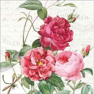 Produktbild von Ambiente Serviette 33 BernsteinMix
