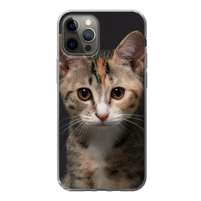 Produktbild von MuchoWow® Handyhülle Schutzhülle Hülle für iPhone 12 Pro Katze - Schwarz - Porträt Silikon Softcase Handy Hülle - Abdeckung