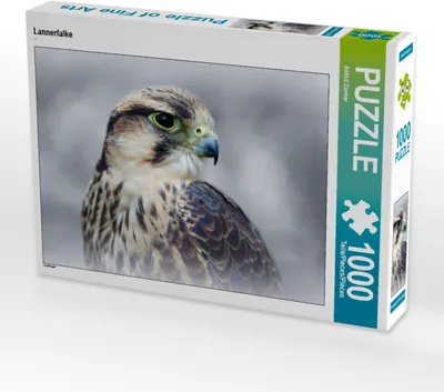 Produktbild von CALVENDO Puzzle Lannerfalke | 1000 Teile Lege-Größe 64x48cm Foto-Puzzle für glückliche Stunden