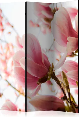 Obrázok produktu pre Jednostranný paraván Kvety 135x172 cm 3-dielny sivý