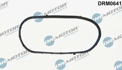 Produktbild von DR.MOTOR AUTOMOTIVE Steuergehäusedichtung DRM0641 für FIAT Ducato Kastenwagen (250, 290)