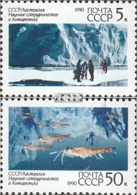Produktbild von Briefmarken Sowjetunion 1990 Mi 6095-6096 (kompl.Ausg.) postfrisch Antarktis