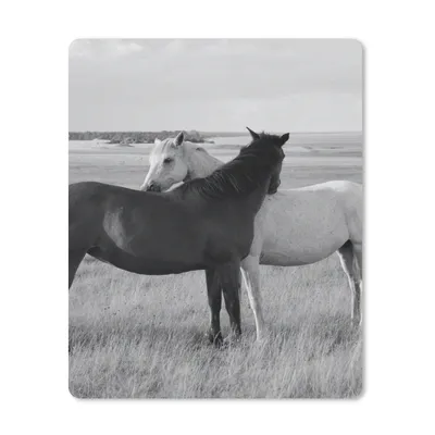 Produktbild von MuchoWow® Mauspad Mousepad Pferde - Tiere - Porträt - Schwarz-Weiß - Landleben 19x23 cm - Mousepads - Maus Mat - Pad - Mausunterlage - Mauspads - Spielen
