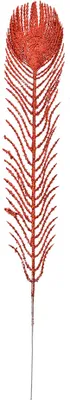 Image de Clayre & Eef Décoration Plume 7x42 cm Rouge Plastique