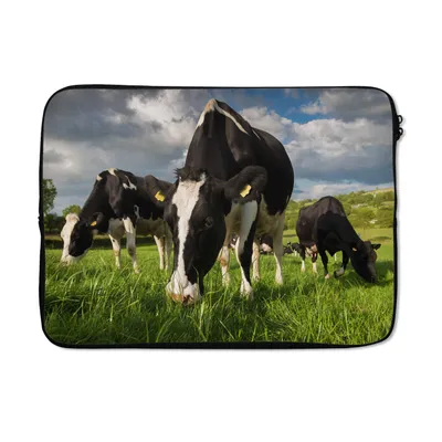 Produktbild von MuchoWow® Laptop Hülle 14 ZollKühe - Tiere - Gras - Wiese - Bauernhof Laptoptasche - Laptoptasche - Stoßsicher - Schutzhaube