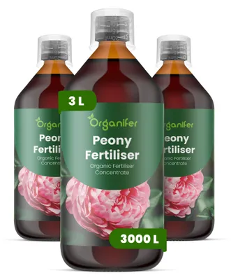 Produktbild von Pfingstrosen Flüssigdünger 3x1L – 2-1-8 NPK – Flüssig-Pflanzendünger für Pfingstrosen – Organifer
