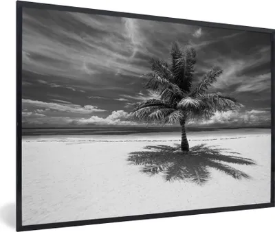 Produktbild von MuchoWow® MuchoWow® Gerahmtes Poster Kokosnusspalme auf dem weißen Sand von Mo'orea in Schwarz und Weiß 30x20 cm - Poster mit zchwarzem Bilderrahmen - Kunstdruck - Bild-Poster