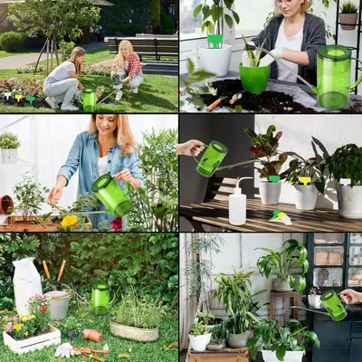 Obrázok produktu pre Kanva na zalievanie s dlhou výlevkou pre izbové rastliny (zelená)