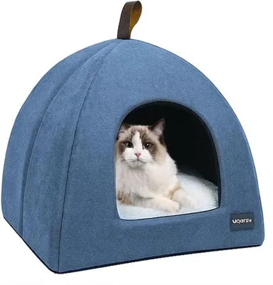 Immagine prodotto di Cuccia morbida e calda per gatti con cuscino removibile, colore blu