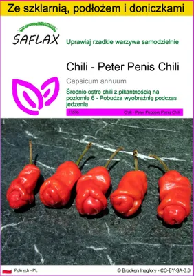 Zdjęcie produktu dla SAFLAX - Zestaw do uprawy - Chili - Peter Penis Chili - 10 Nasiona - Z mini szklarnią, podłożem uprawowym i 2 doniczkami - Capsicum annuum