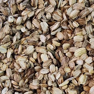 Produktbild von Angelikasamen ganz Naturideen® 100g
