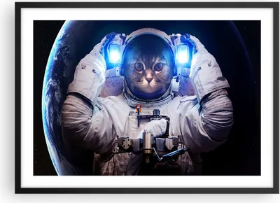 Produktbild von Gerahmtes Poster - Schwarzer Rahmen - Kosmonaut Katze - 70x50 cm - Wand Bild - Wanddeko - Wandbilder - Kunstposter - Wandposter - Bilderrahmen - Bilder - Kunstdruck - Wandbild - P2BAA70x50-3734