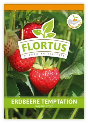 Immagine prodotto di Fragola Tentazione | Semi di fragola di FLORTUS