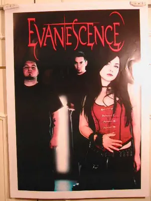 Zdjęcie produktu dla Evanescence - PF41 - Plakat - 52x72 cm