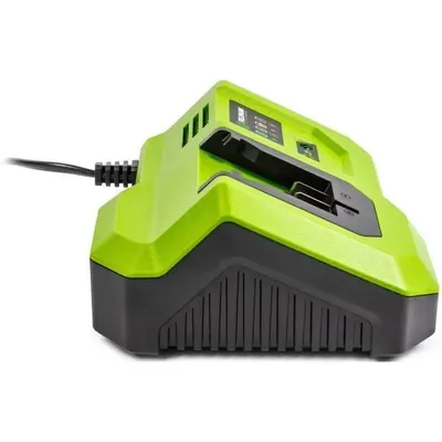 Image de FIELDMANN Chargeur rapide 20V FDUZ 79200