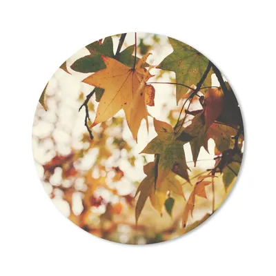 Produktbild von MuchoWow® Mauspad Mousepad Natur - Herbstblätter - Rustikal 20x20 cm - Mousepads - Maus Mat - Pad - Mausunterlage - Schreibtischmatte
