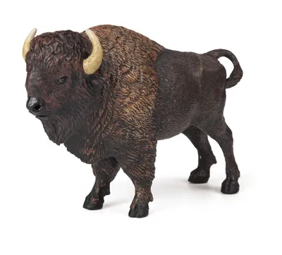 Zdjęcie produktu dla Papo American buffalo, 3 lat(a), Wild animal kingdom, Brązowy, PCW