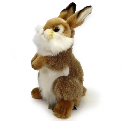 Produktbild von Hase, Kaninchen, Plüschtier, Kuscheltier