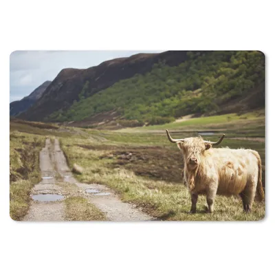 Produktbild von MuchoWow® Schreibtischunterlage Schottische Highlander - Pfad - Wald 60x40 cm - XXL Mauspad - Großes Mauspad