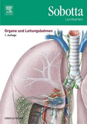 Image de Sobotta Lernkarten Organe und Leitungsbahnen
