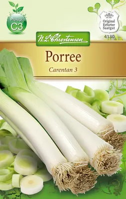 Artikelbild 1 von 'Porree Carentan 3' aus der Kategorie Lauchsamen