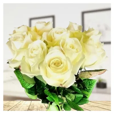 Produktbild von 10 weiße Rosen - Langstielig - Vasenfertig - Frische Rosen