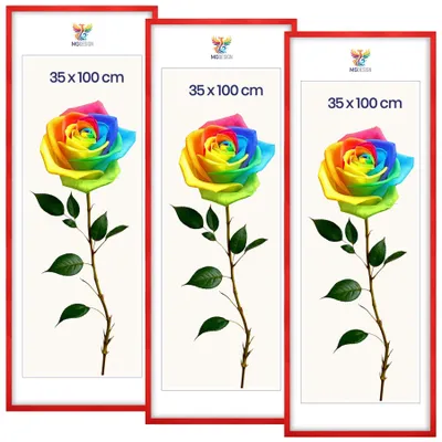 Obrázek produktu pro MG Design, sada 3 kusů rámečků na obrázky, červená, 35x100 cm - rámy na plakáty z masivního dřeva s akrylovým sklem, zesílené upevnění na zeď, možnost vertikálního i horizontálního zavěšení