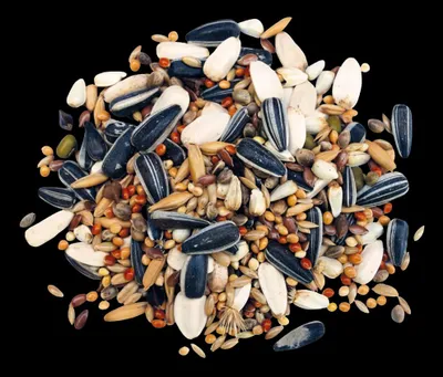 Produktbild von Großsittichfutter TOP 25 kg