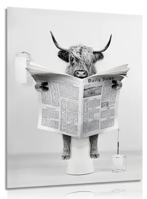 Poster Grappige Koe auf WC, 30x40 cm, Schwarz-Weiß