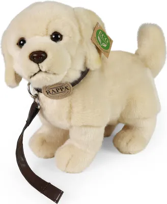 Image de RAPPA Peluche chien golden retriever debout avec laisse 25 cm ECO-FRIENDLY