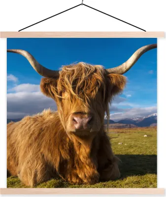 Produktbild von MuchoWow® Textilposter Schottische Hochlandrind - Tiere - Gras 60x60 cm mit holzfarbenen Rahmen - Wanddekoration
