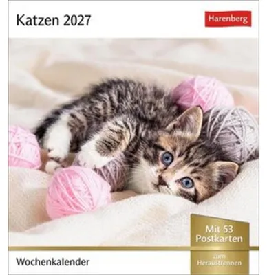 Obrázek produktu pro Katzen Postkartenkalender 2027 - Wochenkalender mit 53 Postkarten