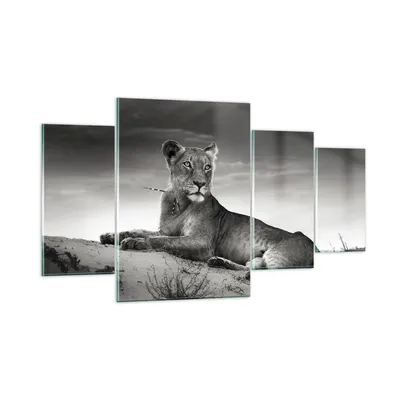 Produktbild von Bilder auf glas - Tierwelt weiblich katze Tier - 160x90cm - Glasbilder - Wandbilder - Kunstdruck - zum Aufhängen bereit - Wanddekoration aus Glas - Glas Bilder - Wandbild auf Glas - GDL160x90-3165