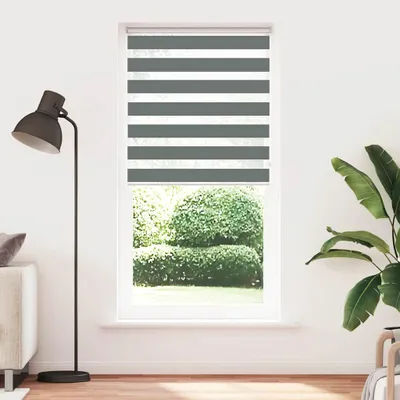 Produktbild von vidaXL Doppelrollo Dunkelgrau 105x200 cm Stoffbreite 100,9 cm Polyester