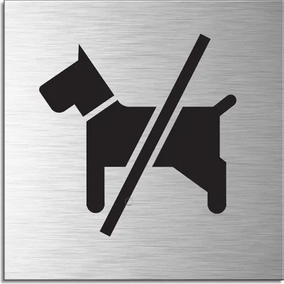 Produktbild von Schild - Hunde verboten | Türschild 120 x 120 mm Aluminium selbstklebend