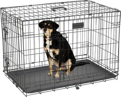 Productafbeelding van Hondenbench - Huisdierverblijf - Veilige Hondenplek - Opvouwbaar & 2 Deuren - 61 x 43 x 49 cm - Zwart