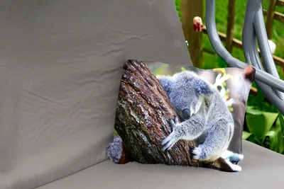 Produktbild von MuchoWow® Outdoor Kissen - Koala - Baum - Schlaf - Kinder - Jungen - Mädchen - 50x30 cm - Wetterfest - Lounge Kissen - Sofa kissen - Wohnzimmer Dekoration