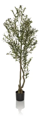 Obrázek produktu pro hjh OFFICE Umělá rostlina OLIVE I Umělá rostlina Olive Výška 172,0 cm Dekorace
