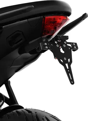 Immagine prodotto di Porta targa ZIEGER Pro compatibile con Triumph Tiger Sport 660