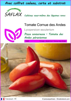 Image de SAFLAX Ensemble-cadeau - Tomate Cornue des Andes - 10 graines - Lycopersicon
