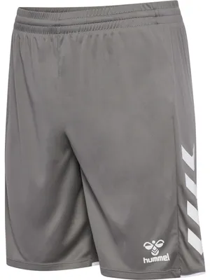 Obrázok produktu pre Šortky Hummel Core 2.0, šedé, XL, pánske