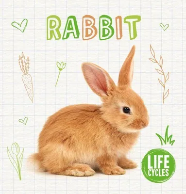 Produktbild von Rabbit