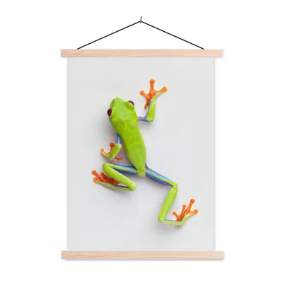 Produktbild von MuchoWow® Textilposter Frosch - Tiere - Grün 40x53 cm mit holzfarbenen Rahmen - Schlafzimmer