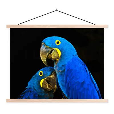 Produktbild von MuchoWow® Textilposter Papagei - Vogel - Federn - Blau 60x45 cm mit holzfarbenen Rahmen - Bild