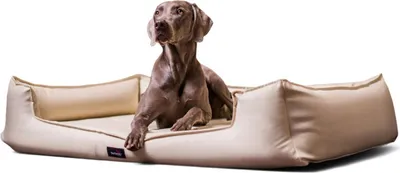 Produktbild von tierlando® Orthopädisches Hundebett GOOFY Kunstleder >>inkl. Matratzenschoner<< - Größe: 90x75cm | Farbe: 05 Creme