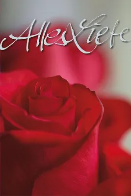 Produktbild von ARTEBENE Grußkarte Alles Liebe Rosenmotiv Rot